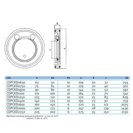 Обратный клапан межфланцевый EFFAST d225mm (CDPCKD2250)